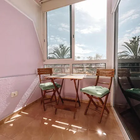 In Agaves, Close To Playa Bobo, La116